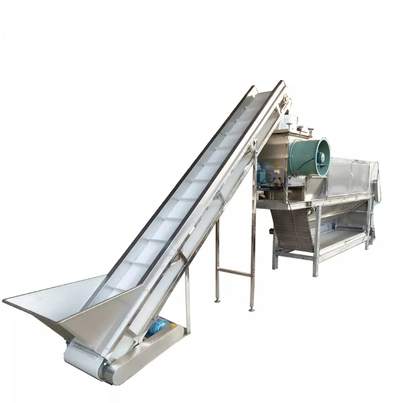 Macchina per pelacher aglio automatico