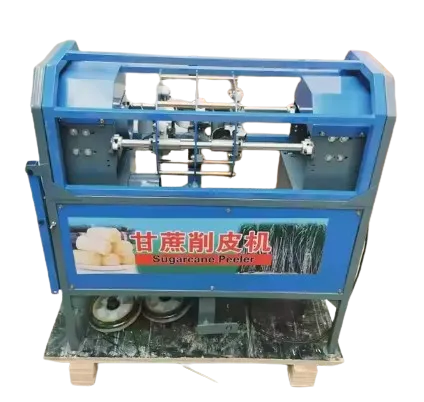 SHULER SUGNA DI SUGGERCANA